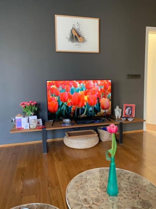 Large 2-bedroom Centre Art Sofia