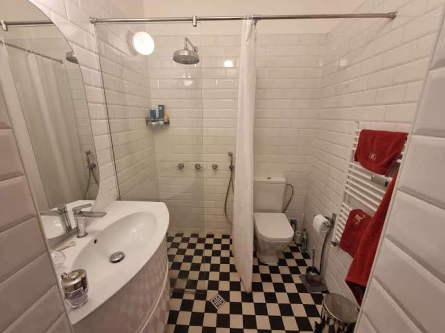 Large 2-bedroom Centre Art Apartament *