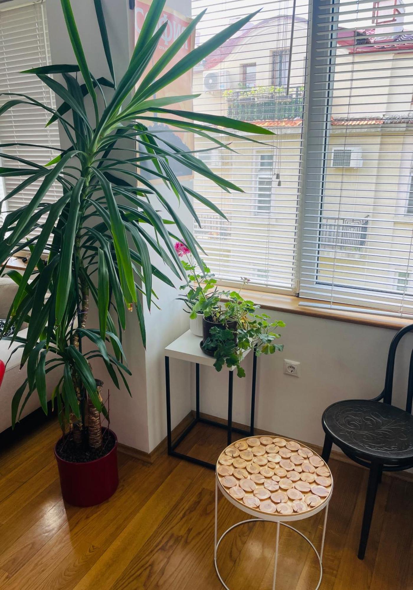 Large 2-bedroom Centre Art Apartament *